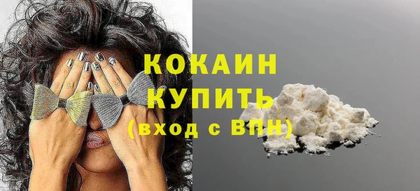 СК Ельня