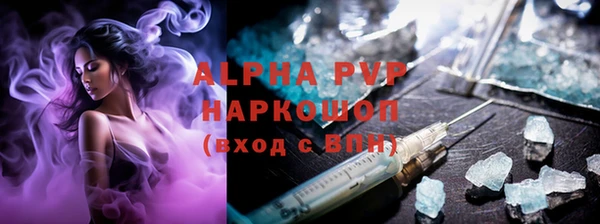 СК Ельня